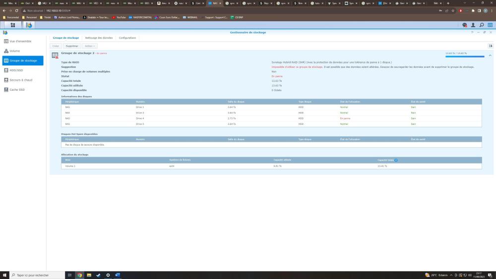 Capture Synology etat groupe de stockage.jpg