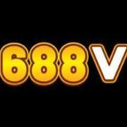 688vwincombr